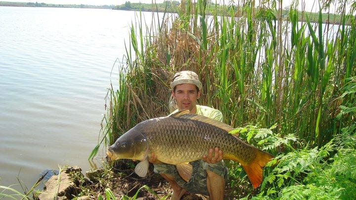 tancabesti - 248550192845007429975398818n.jpg